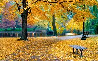 Autumn (also known as fall) is one of the four temperate seasons.