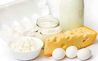 Dairy Products and Eggs - Milk, cheese, butter and eggs are important food items obtained from animal sources that are rich in proteins, vitamins, fat and minerals.