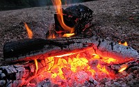 Charcoal Burning - Charcoal is wood that has been heated to remove nearly all of the volatile gases and leave behind the carbon.
