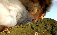 Wildfires are a natural hazard posing a threat to life and property, particularly where native ecosystems meet developed areas.