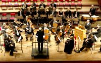 An orchestra is a large group of musicians who play a variety of different instruments together.